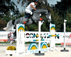 jumper Cermit PJ (Hanoverian, 2010, from Cassus 2)