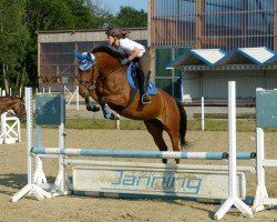 jumper Gwendolyn Rose (Oldenburg, 2008, from Ludwig von Bayern 168 FIN)