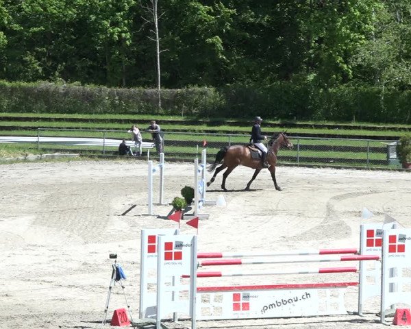 Reitturnier Schaffhausen 2021