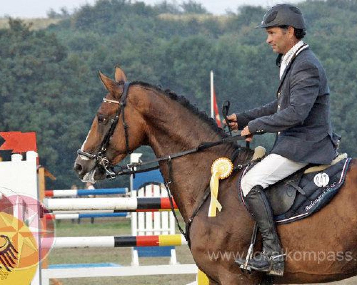 stallion Balougraf Esc (Holsteiner, 2006, from Baloubet du Rouet)