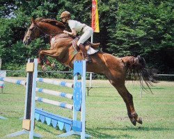 jumper Quentin (Mecklenburg, 2004, from Quel Carreras)