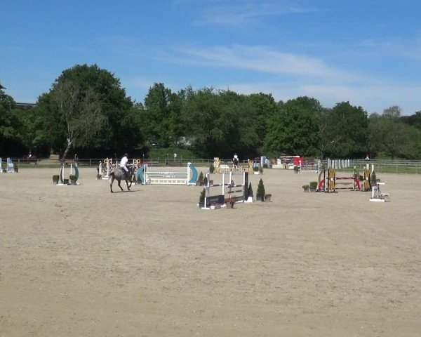 Reitturnier Langenfeld - Gut Langfort 2021