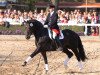 stallion Riccio (Westphalian, 2001, from Riccione)