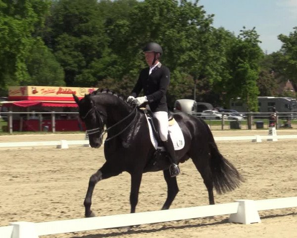Reitturnier Nienberge-Schonebeck 2021