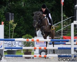 jumper Rubina 265 (Hessian Warmblood, 2000, from Rosenduft)