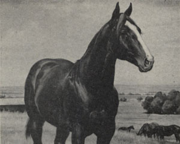 Deckhengst Leo San (Quarter Horse, 1949, von Leo)