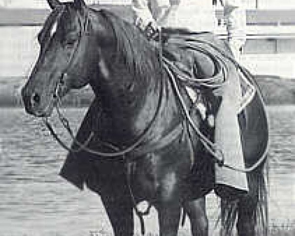 Deckhengst Peppy San (Quarter Horse, 1959, von Leo San)