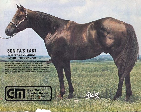 stallion Sonitas Last (Quarter Horse, 1970, from Peppy San)