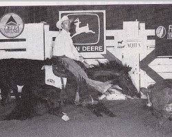 Deckhengst Smartest Little Pep (Quarter Horse, 1991, von Peppy San Badger)