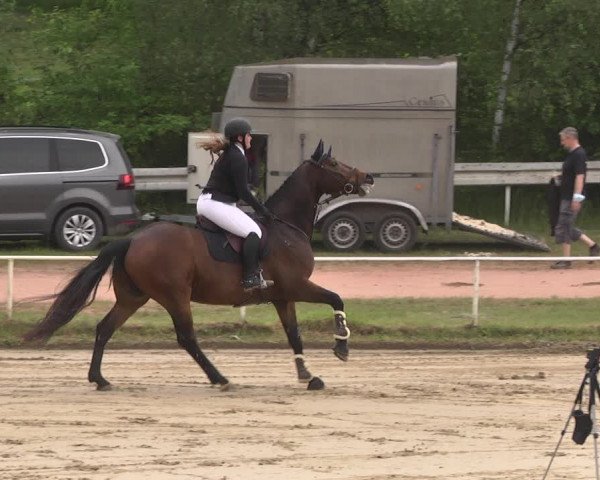 Reitturnier Heiligenwald 2021