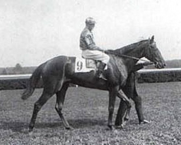 broodmare Eidechse xx (Thoroughbred, 1910, from Hammurabi xx)