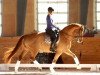 broodmare Royal Coeur 2 (Oldenburg, 2005, from Royal Hit)