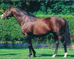 Deckhengst Septime Ciel xx (Englisches Vollblut, 1987, von Seattle Slew xx)