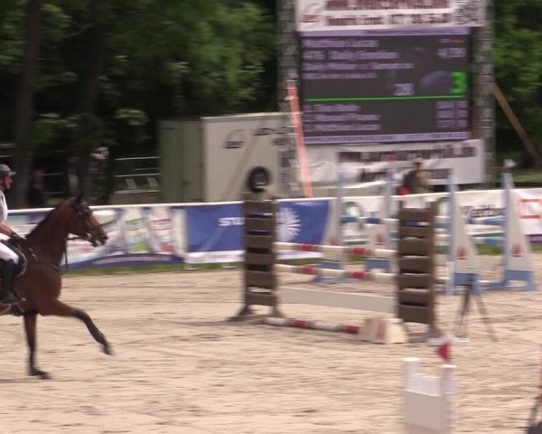 Reitturnier Prussendorf 2021