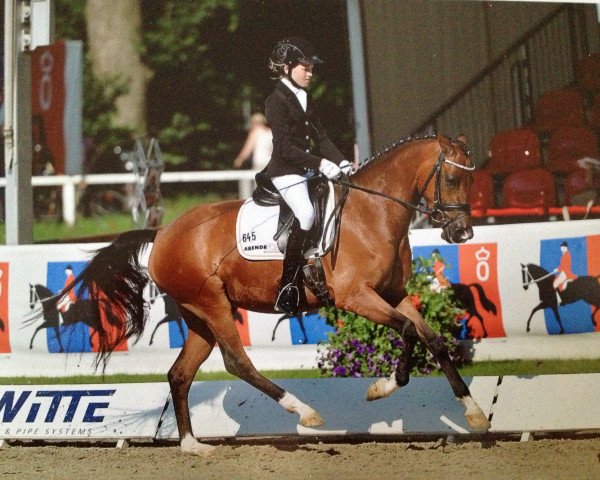 broodmare Comme il faut WE (German Riding Pony, 2010, from No Limit)