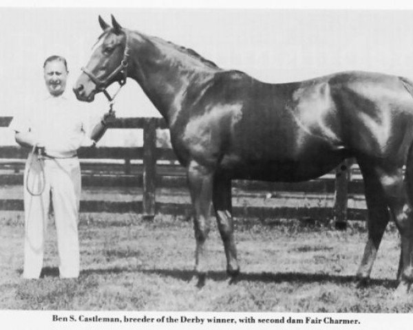 broodmare Fair Charmer xx (Thoroughbred, 1959, from Jet Action xx)