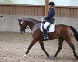 Dressurpferd Fred 64 (Polnisches Warmblut, 2000)