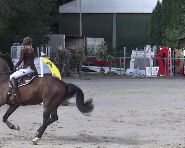 Reitturnier Neunkirchen-City 2021