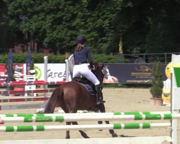 Reitturnier Münster-Handorf 2021