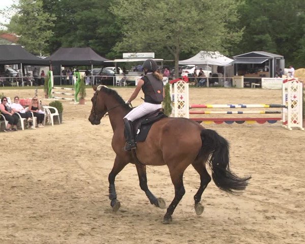 Reitturnier Heiligenwald 2021