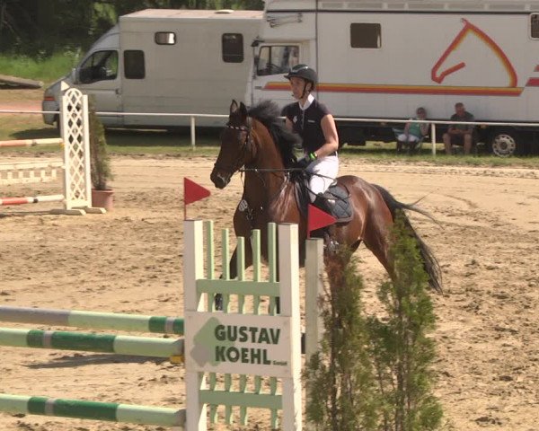 Reitturnier Heiligenwald 2021