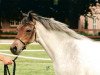 broodmare Weltevreden's Manisa (Welsh-Pony (Section B), 1989, from Roeland)