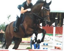 jumper Zasko (KWPN (Royal Dutch Sporthorse), 2004, from Kojak)