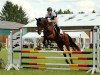 dressage horse Renoir 161 (Hanoverian, 2005, from Rousseau)