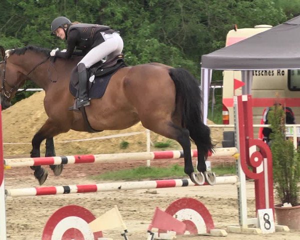 Reitturnier Heiligenwald 2021