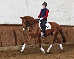 horse Resi (Hanoverian, 2011, from Royal Blend)