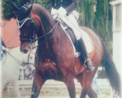 dressage horse Princess of Paradise 2 (Westphalian, 2004, from Prinz Segelhorst)