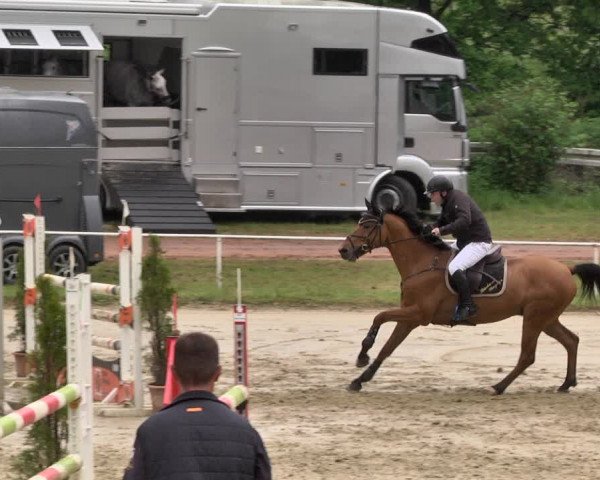 Reitturnier Heiligenwald 2021