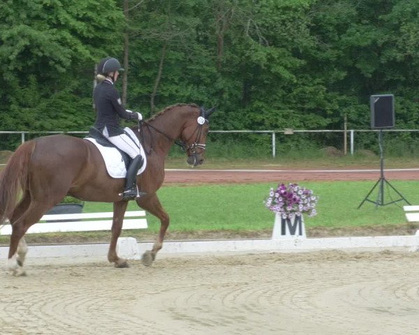 Reitturnier Heiligenwald 2021