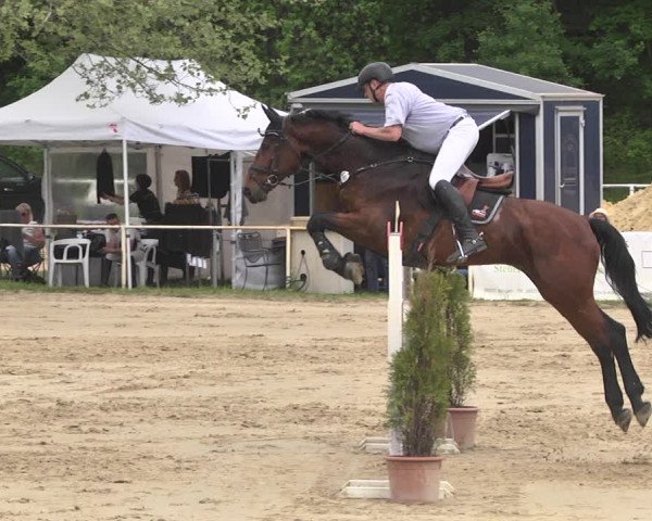 Reitturnier Heiligenwald 2021