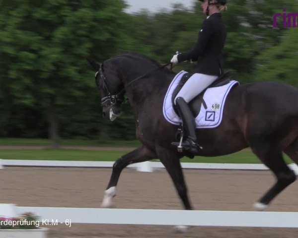 Reitturnier Hille 2021