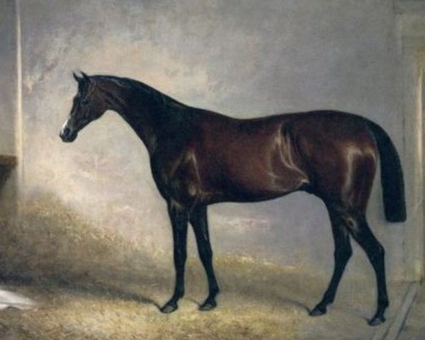 horse Attila xx (Thoroughbred, 1839, from Colwick xx)