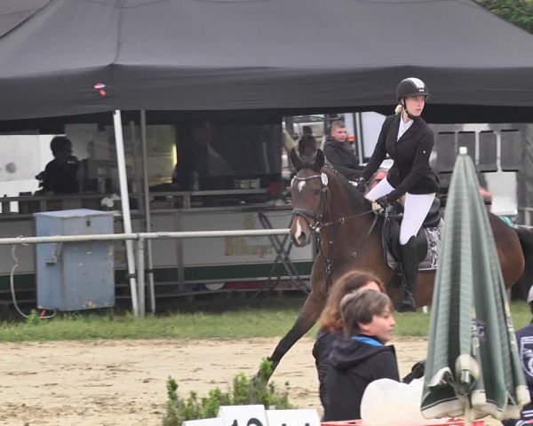 Reitturnier Heiligenwald 2021