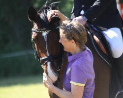 broodmare Quandofina (Oldenburg, 2007, from Quidam de Revel)