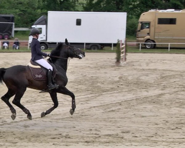Reitturnier Heiligenwald 2021