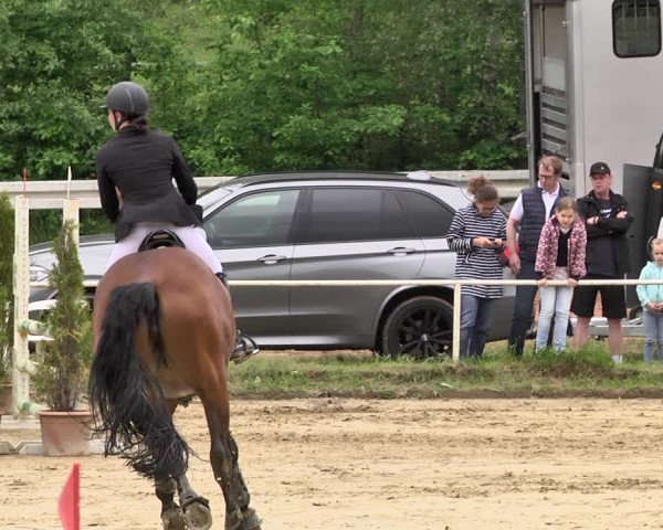 Reitturnier Heiligenwald 2021