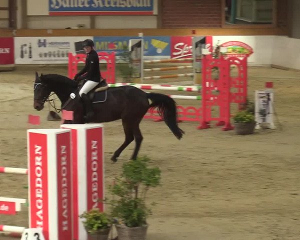 Steinhagen Classics 2021