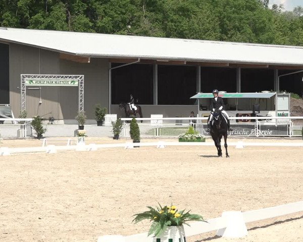 Reitturnier Dielsdorf, Horsepark 2021