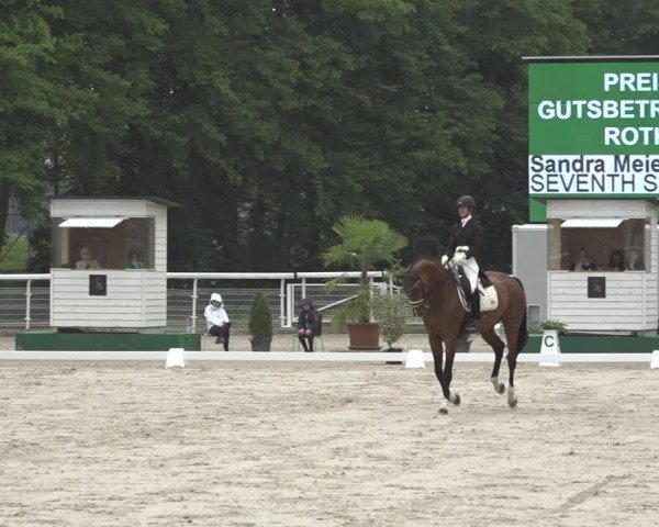 Reitturnier Dielsdorf, Horsepark 2021