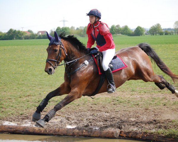 jumper Astine (Bavarian, 2006, from Asti Spumante 7)