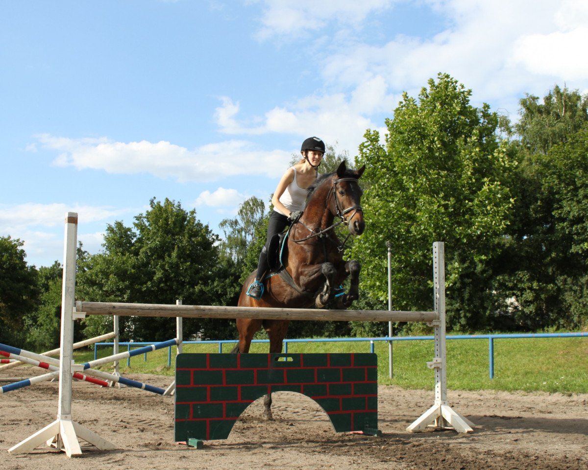 jumper Salonas (Trakehner, 2001)