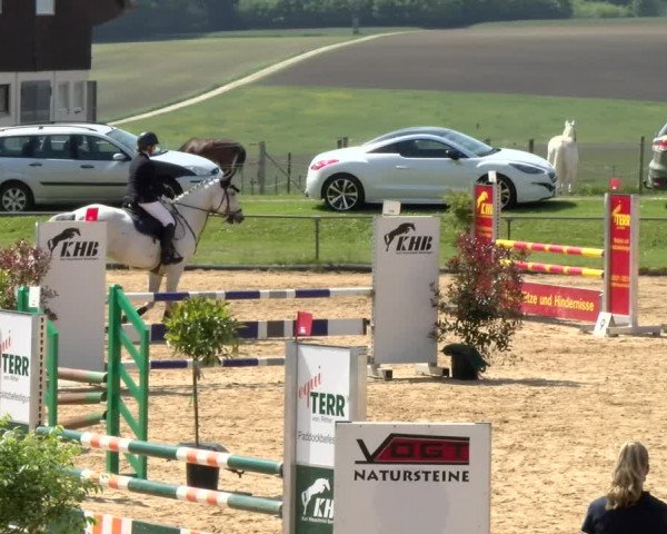 Reitturnier Zoltingen/Schw. 2021