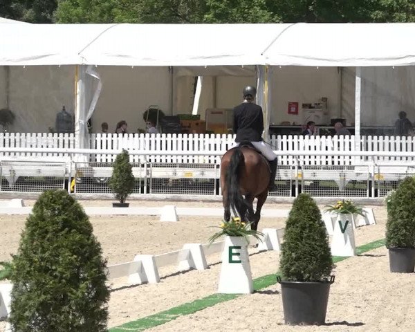 Reitturnier Dielsdorf, Horsepark 2021