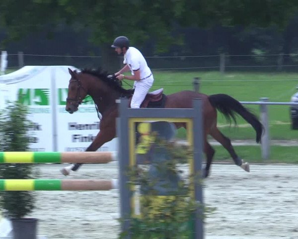 Reitturnier Nienberge-Schonebeck 2021