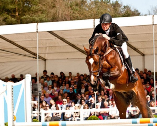 stallion Babalouba (KWPN (Royal Dutch Sporthorse), 2003, from Baloubet du Rouet)