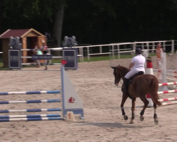 Reitturnier Prussendorf 2021
